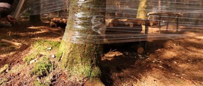 Kā no plastmasas plēves izgatavot būdiņu, lai pasargātu no sliktiem laikapstākļiem vasarā un stipra sala ziemā