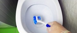 How can you easily remove limescale from a toilet bowl without special tools?