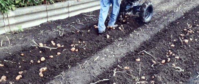 Cara membuat penggali kentang pada traktor berjalan kaki
