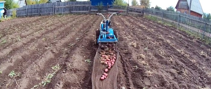 DIY potato digger from trash