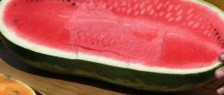 So wählen Sie eine reife, zuckerhaltige Wassermelone richtig aus