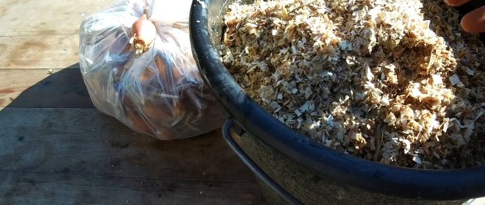 3 nejlepší způsoby, jak v zimě pěstovat cibuli na okenním parapetu