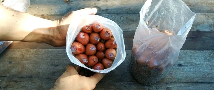 3 καλύτεροι τρόποι για να καλλιεργήσετε κρεμμύδια στο περβάζι το χειμώνα