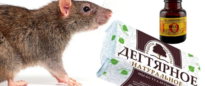Repelente de ratones natural y seguro