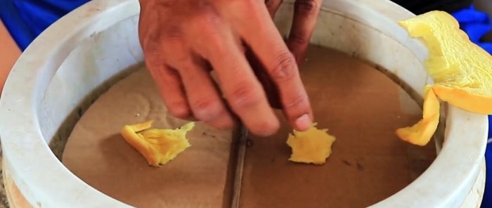 Cum să faci o capcană pentru șoareci dintr-o găleată de plastic
