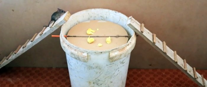 Paano gumawa ng bitag ng mouse mula sa isang plastic bucket