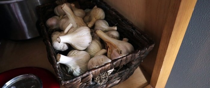 How to save garlic until next year