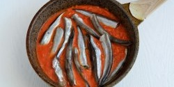 For those who DO NOT like capelin: Capelin in tomato sauce
