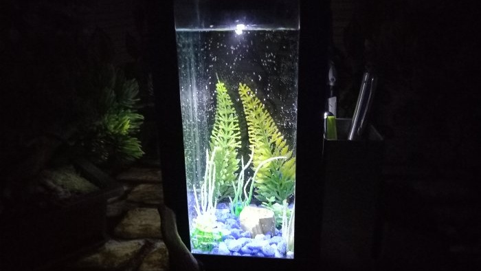Com fer un organitzador d'aquaris de sobretaula amb il·luminació