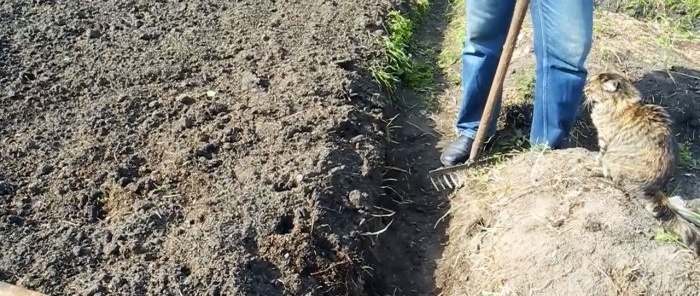 Jak odstranit krtonožce navždy a bez nákladů