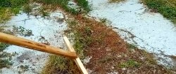Cách để Làm dụng cụ loại bỏ cỏ dại tiện dụng