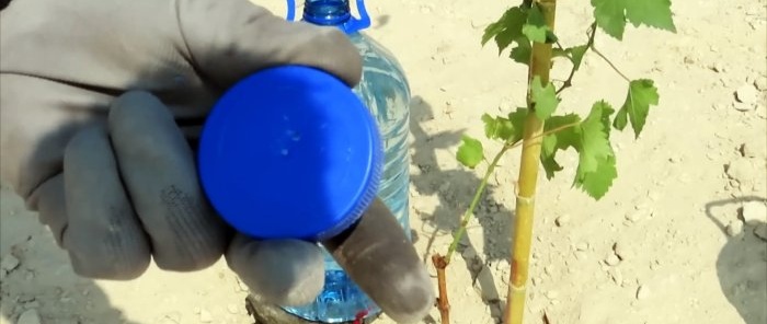 Como fazer um sistema de irrigação por gotejamento a partir de garrafas PET