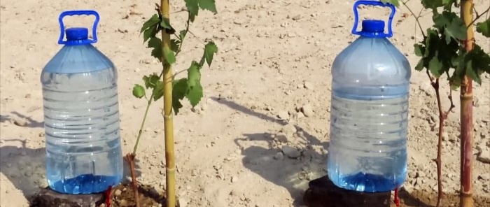 Cómo hacer un sistema de riego por goteo con botellas de PET