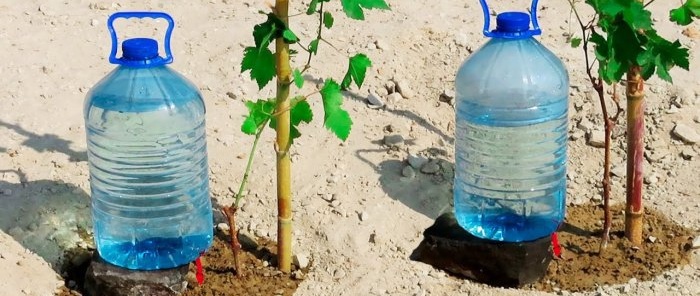 Wie man aus PET-Flaschen ein Tropfbewässerungssystem herstellt