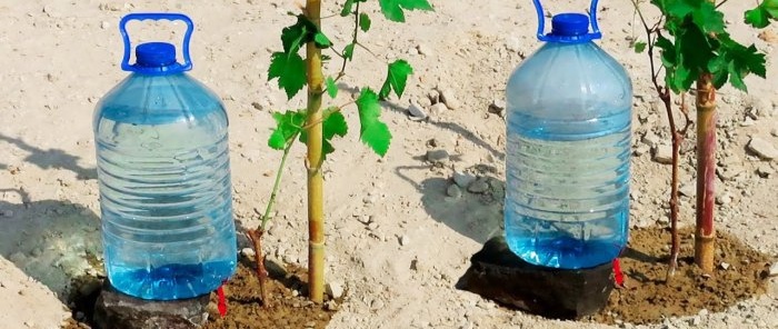 Cómo hacer un sistema de riego por goteo con botellas de PET