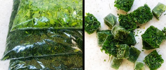 Cómo congelar eneldo, perejil y otras verduras: reglas básicas