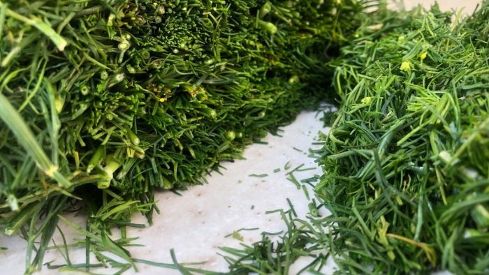 How to freeze dill, parsley and other greens - basic rules