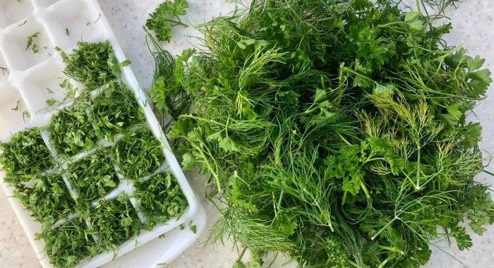 How to freeze dill, parsley and other greens - basic rules