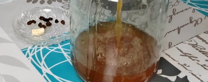 How to prepare Petrovsky kvass without yeast