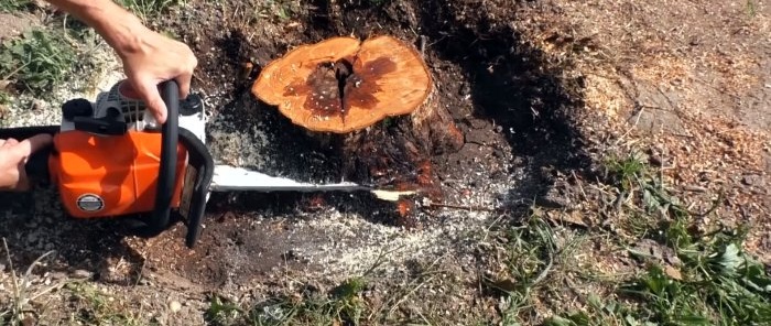 How to quickly remove a stump on a site without uprooting and saltpeter