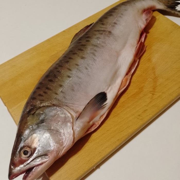 So bereiten Sie zwei Gerichte aus rosa Lachs aus einem Fisch zu