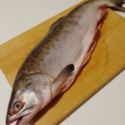Hvad skal man lave mad fra lyserød laks: to retter fra en fisk