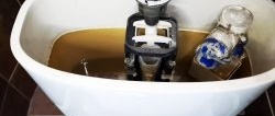 How to remove lime and rust from a toilet cistern in no time